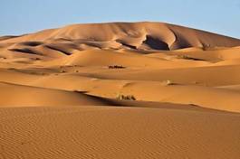 Plakat fala pustynia afryka wydma