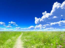 Obraz na płótnie droga lato błękitne niebo