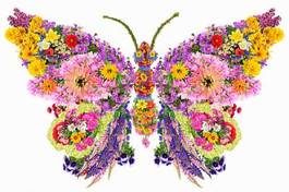 Obraz na płótnie wzór słonecznik motyl kwiat stokrotka