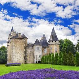 Fototapeta błękitne niebo zamek francja