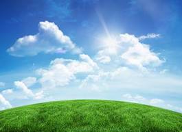 Naklejka trawa łąka wzgórze błękitne niebo pole