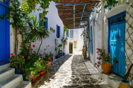 Obraz na płótnie wioska morze śródziemne kwiat wyspa