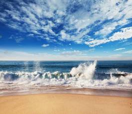 Naklejka plaża natura lato egzotyczny