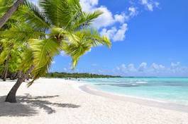 Fotoroleta palmy na tropikalnej plaży