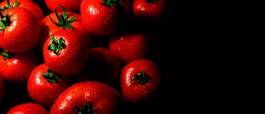 Naklejka piękny pomidor rolnictwo rosa