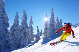 Fotoroleta śnieg zabawa narty narciarz