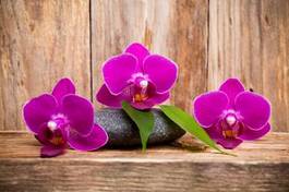 Naklejka zdrowy spokojny masaż kwiat natura