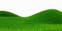 Naklejka trawa wzgórze natura