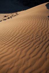 Obraz na płótnie wydma fala krajobraz afryka pustynia