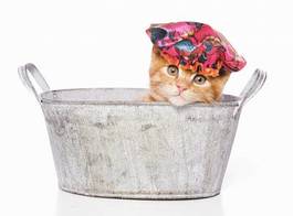 Fototapeta kociak w kąpieli z czepkiem na głowie