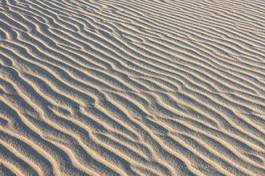 Fototapeta plaża słońce wydma krajobraz natura