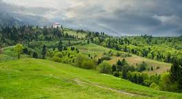 Fotoroleta wiejski trawa natura europa