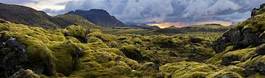 Naklejka roślina natura niebo narodowy islandia