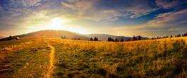 Obraz na płótnie słońce jesień pejzaż trawa