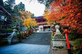 Naklejka azja architektura japoński świątynia drzewa