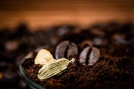 Naklejka rolnictwo kawa arabski kawiarnia