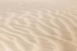 Fototapeta piękny fala tropikalny wzór pustynia