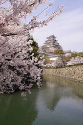 Naklejka wiśnia japoński architektura zamek azja