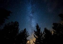 Obraz na płótnie drzewa galaktyka las wszechświat gwiazda
