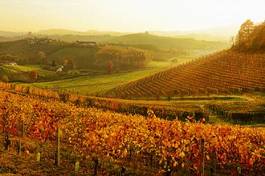 Fotoroleta krajobraz jesień wino śruba