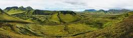 Fototapeta natura islandzki wzgórze mech
