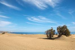 Obraz na płótnie fala pejzaż pustynia wydma
