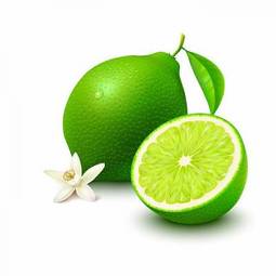 Plakat tropikalny owoc deser witamina zdrowy