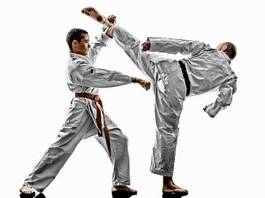 Naklejka sztuki walki sport mężczyzna ludzie karate