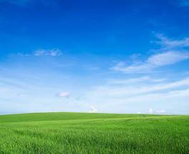 Naklejka panoramiczny wiejski widok łąka natura