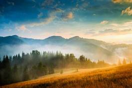 Fotoroleta piękny widok dolina trawa ukraina