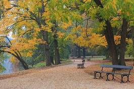 Fotoroleta ogród jesień natura park pejzaż