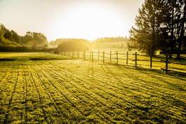 Naklejka rolnictwo świt słońce łąka