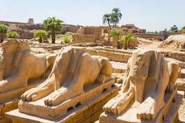 Fotoroleta architektura egipt król stary