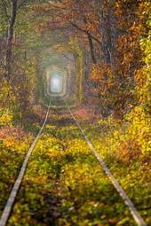Naklejka jesień tunel transport