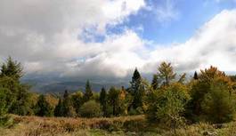 Naklejka perspektywa las jesień dolina