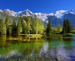 Plakat francja góra świerk park alpy