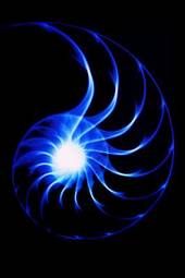Fototapeta spirala niebieski wir ślimak