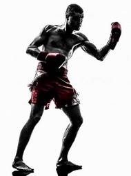 Obraz na płótnie sztuki walki bokser ludzie