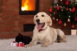 Plakat domowe zwierzęta i świąteczne prezenty
