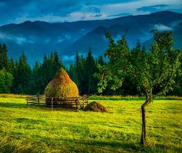 Naklejka góra ukraina dolina rumunia pole