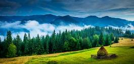 Naklejka las niebo alpy ukraina góra