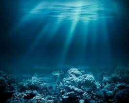 Naklejka koral podwodne morze