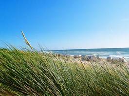Naklejka błękitne niebo lato plaża leżak ładny