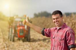 Fototapeta ludzie traktor jesień zboże