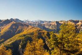 Fototapeta natura jesień panoramiczny pejzaż las