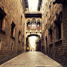Naklejka hiszpania roślina katedra ulica architektura