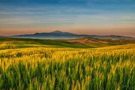 Fototapeta wiejski wzgórze włoski natura