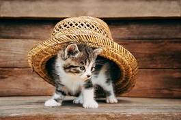 Fotoroleta kociak pod słomkowym kapeluszem