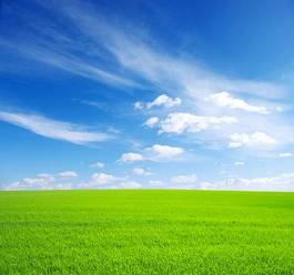Obraz na płótnie roślina pejzaż trawa niebo pastwisko
