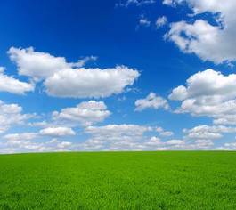 Obraz na płótnie łąka pole niebo rolnictwo